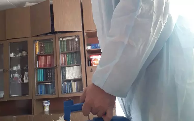 Среднеуральск. Чешуйницы.